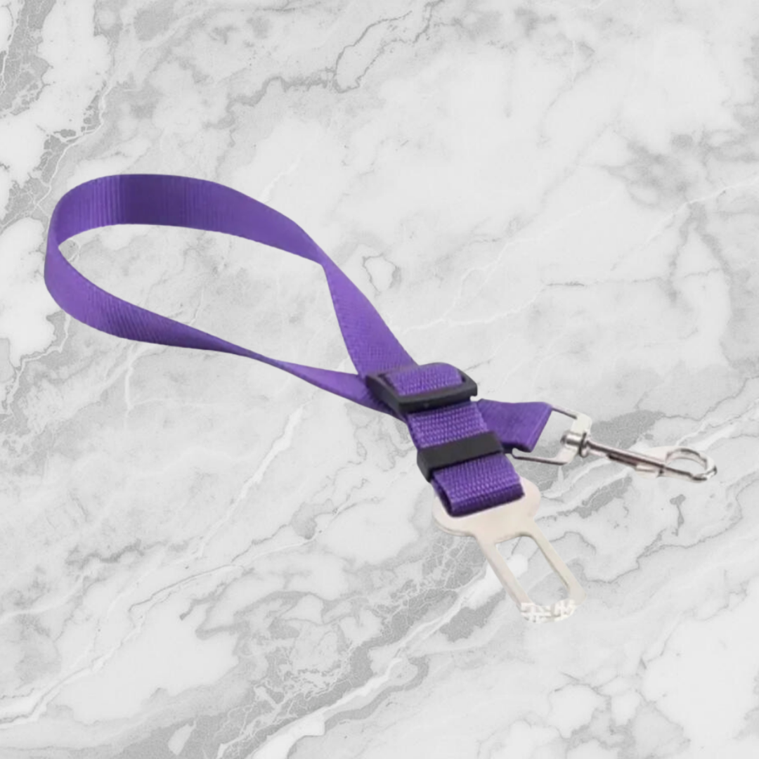TlapkaPro - bezpečnostní pás pro psa do auta